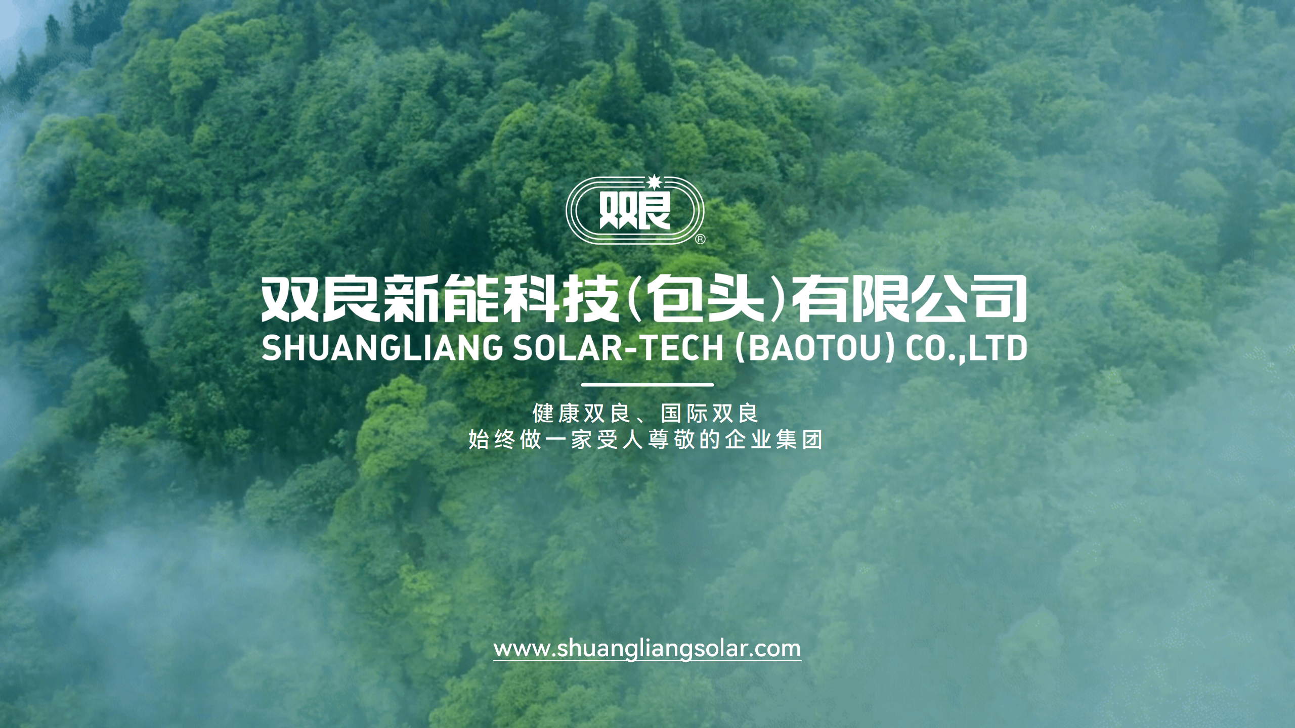 双良新能科技宣传PPT